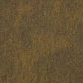 Vestis Cortex 3D